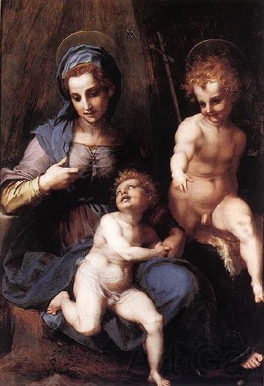 Andrea del Sarto Madonna mit Hl Johannes Norge oil painting art